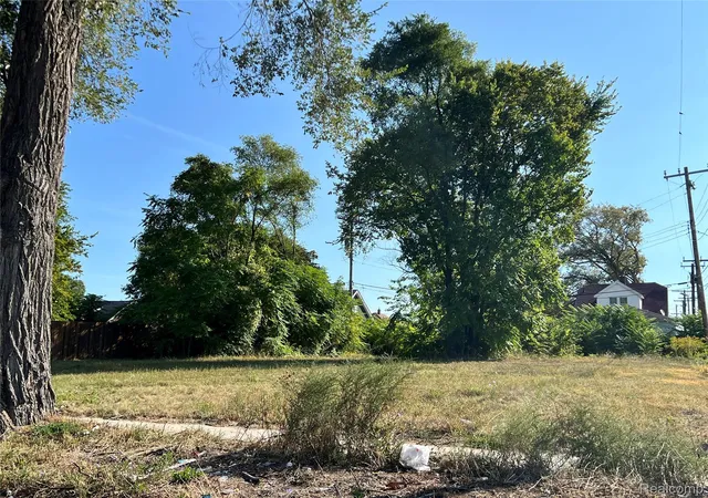 Photo 2 of Land for sale at 12828 Dwyer St, Hamtramck, MI 48212 | MLS# 20251037192 | Listing updated on 2026-09-15