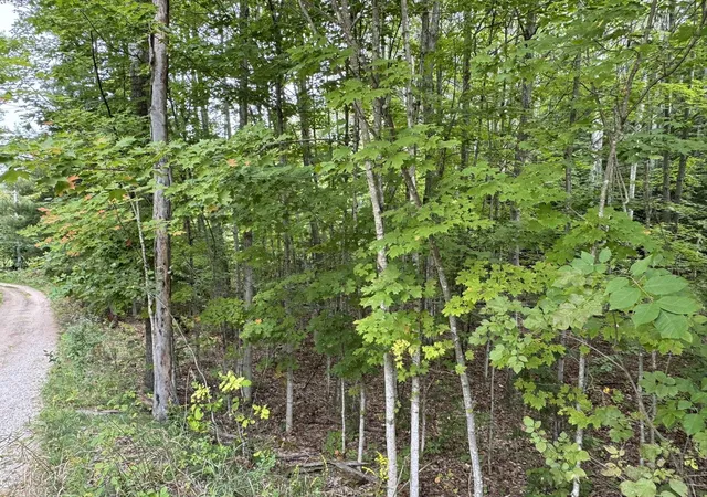 Homes for sale in Cedar, MI | Lot 4 E Old Mountain Rd, Cedar, MI 49621 | MLS# 78080062022