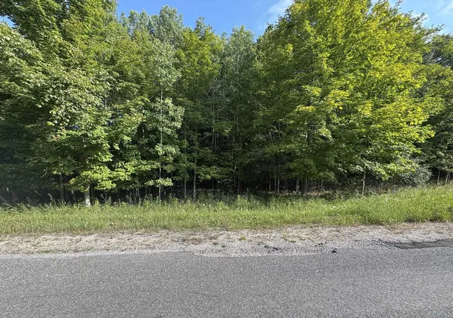 Homes for sale in Cedar, MI | Lot 4 E Old Mountain Rd, Cedar, MI 49621 | MLS# 78080062022