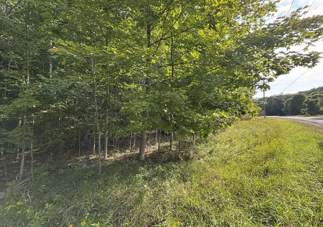 Homes for sale in Cedar, MI | Lot 4 E Old Mountain Rd, Cedar, MI 49621 | MLS# 78080062022