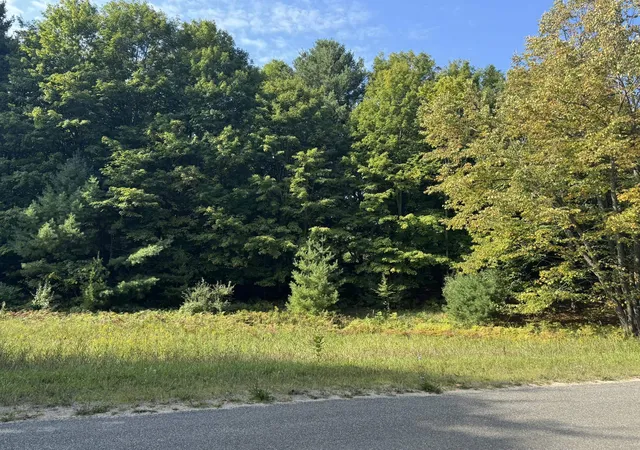 Homes for sale in Cedar, MI | Lot 5 E Old Mountain Rd, Cedar, MI 49621 | MLS# 78080062024
