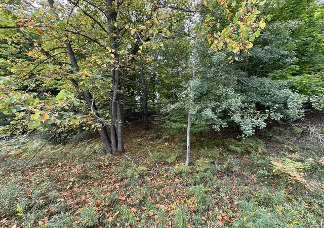Homes for sale in Cedar, MI | Lot 5 E Old Mountain Rd, Cedar, MI 49621 | MLS# 78080062024