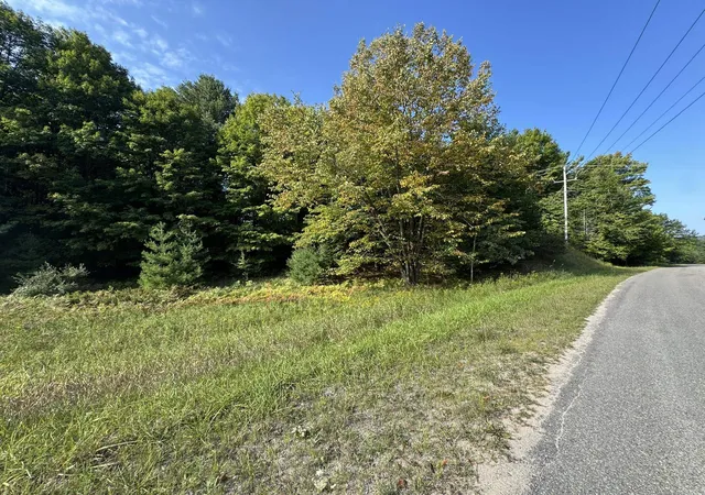 Homes for sale in Cedar, MI | Lot 5 E Old Mountain Rd, Cedar, MI 49621 | MLS# 78080062024
