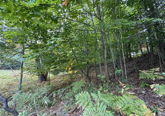 Homes for sale in Cedar, MI | Lot 5 E Old Mountain Rd, Cedar, MI 49621 | MLS# 78080062024