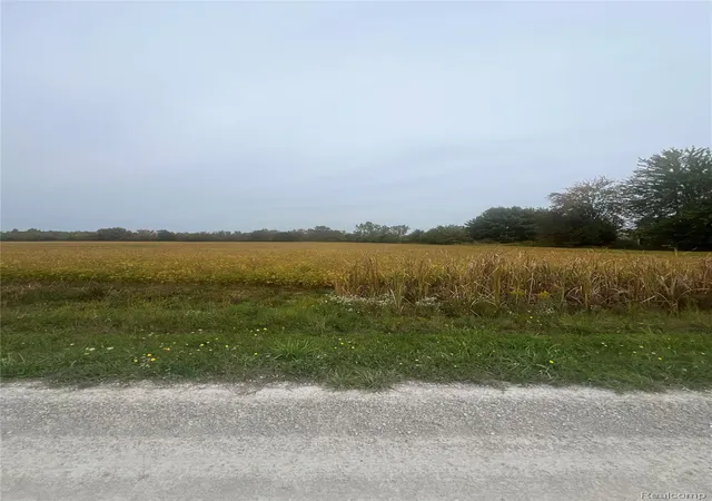 Photo 4 of Land for sale at 00 Meskill Rd, Columbus, MI 48063 | MLS# 20251038792 | Listing updated on 2026-07-22