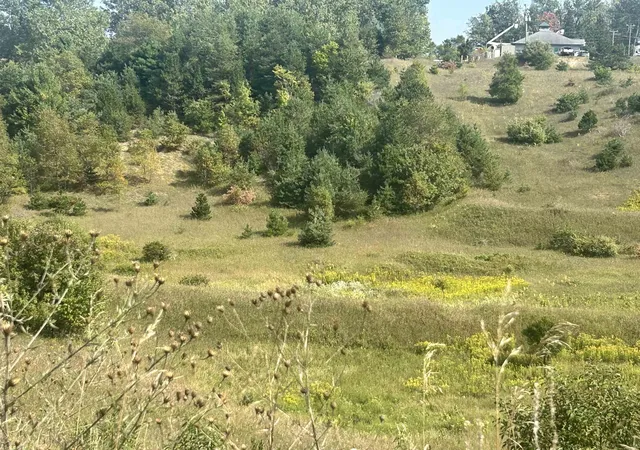 Photo 3 of Land for sale at 000 Solon Rd, Traverse City, MI 49684 | MLS# 78080062240 | Listing updated on 2026-01-15