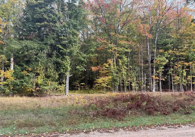 2nd image of 207 Wallace Rd Ne, Rapid River Township Kalkaska, MI 49612 | MLS# 20251040378