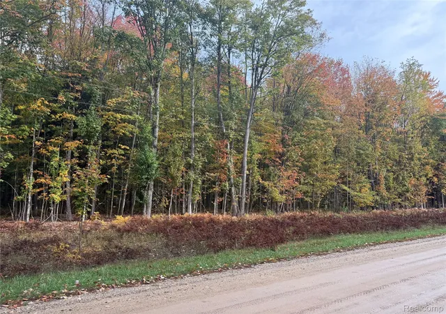 3rd image of 207 Wallace Rd Ne, Rapid River Township Kalkaska, MI 49612 | MLS# 20251040378