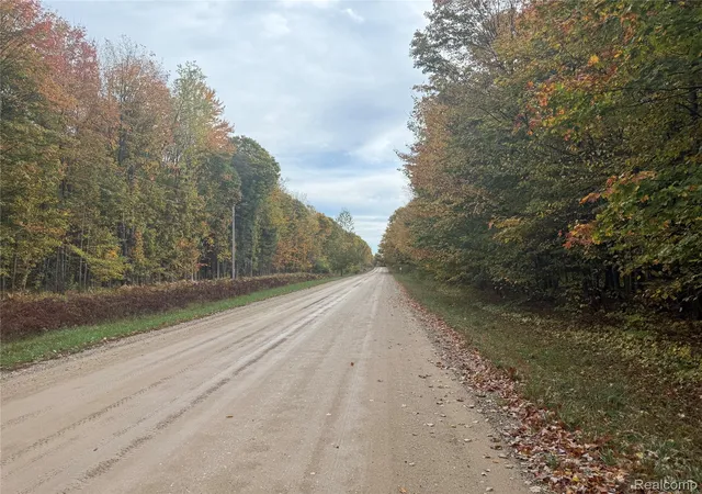 4th image of 207 Wallace Rd Ne, Rapid River Township Kalkaska, MI 49612 | MLS# 20251040378