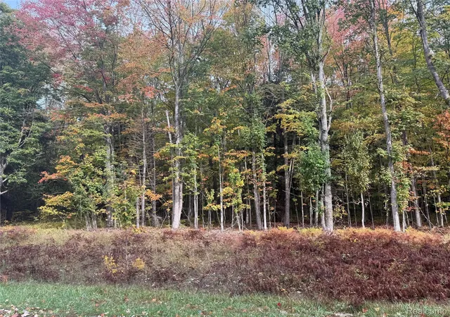 5th image of 207 Wallace Rd Ne, Rapid River Township Kalkaska, MI 49612 | MLS# 20251040378