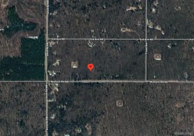 7th image of 207 Wallace Rd Ne, Rapid River Township Kalkaska, MI 49612 | MLS# 20251040378
