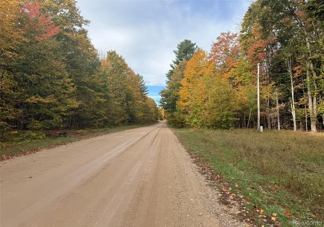 1st image of 207 Wallace Rd Ne, Rapid River Township Kalkaska, MI 49612 | MLS# 20251040378