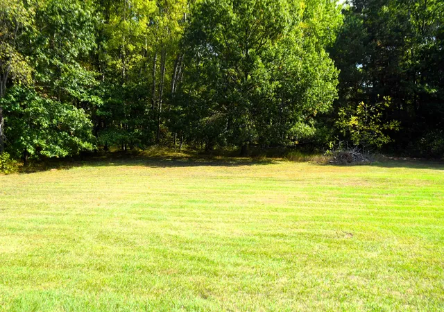 Photo 2 of Land for sale at 8568 W Ludington Dr, Lake, MI 48632 | MLS# 79080062286 | Listing updated on 2026-03-26