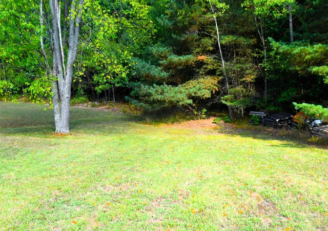 Photo 3 of Land for sale at 8568 W Ludington Dr, Lake, MI 48632 | MLS# 79080062286 | Listing updated on 2026-03-26