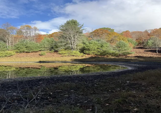 Photo 3 of Land for sale at 0 S Fritz Rd, Kasson Township Leelanau, MI 49630 | MLS# 78080062287 | Listing updated on 2026-02-23