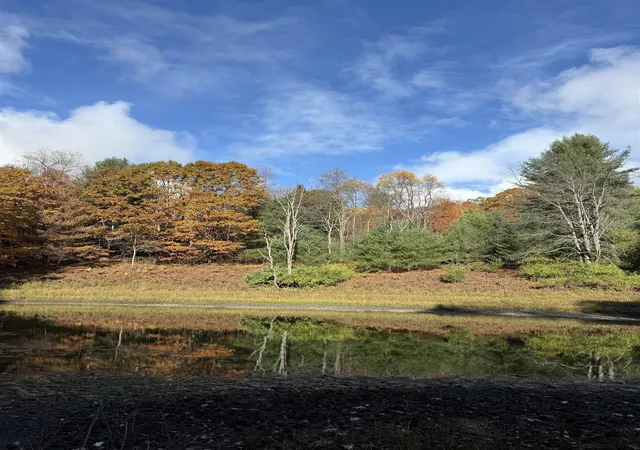 Photo 4 of Land for sale at 0 S Fritz Rd, Kasson Township Leelanau, MI 49630 | MLS# 78080062287 | Listing updated on 2026-02-23