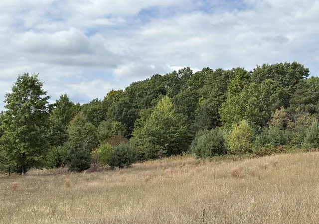 Photo 4 of Land for sale at 7267 S Snyder Rd, Springfield Township Kalkaska, MI 49633 | MLS# 78080062293 | Listing updated on 2026-09-24