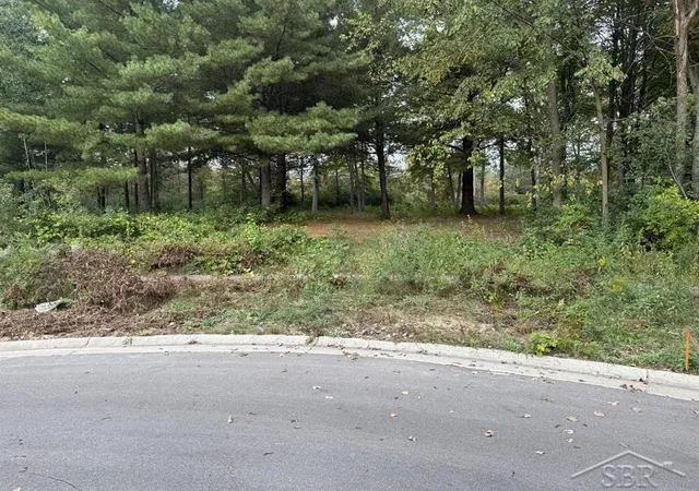 Photo 1 of Land for sale at 6210 Evergreen Ct, Midland, MI 48642 | MLS# 61050189949 | Listing updated on 2026-06-09