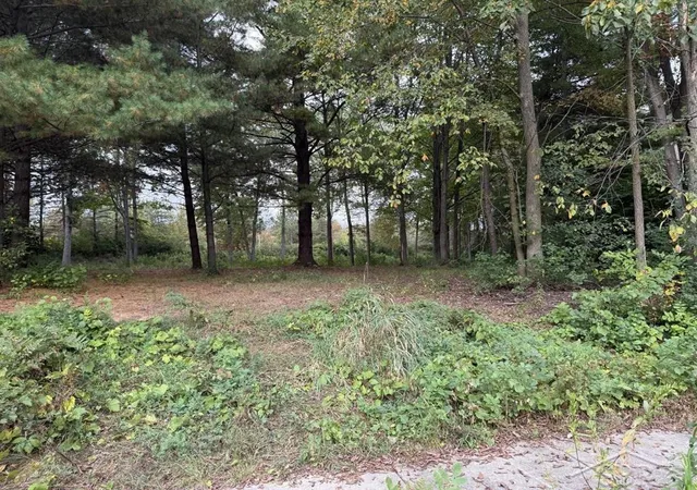 Photo 2 of Land for sale at 6210 Evergreen Ct, Midland, MI 48642 | MLS# 61050189949 | Listing updated on 2026-06-09