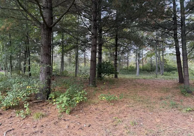 Photo 3 of Land for sale at 6210 Evergreen Ct, Midland, MI 48642 | MLS# 61050189949 | Listing updated on 2026-06-09