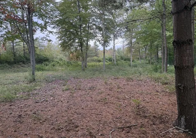 Photo 3 of Land for sale at 6210 Evergreen Ct, Midland, MI 48642 | MLS# 61050189949 | Listing updated on 2026-06-09