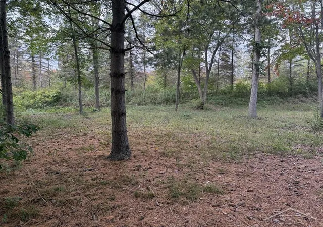 Photo 4 of Land for sale at 6210 Evergreen Ct, Midland, MI 48642 | MLS# 61050189949 | Listing updated on 2026-06-09
