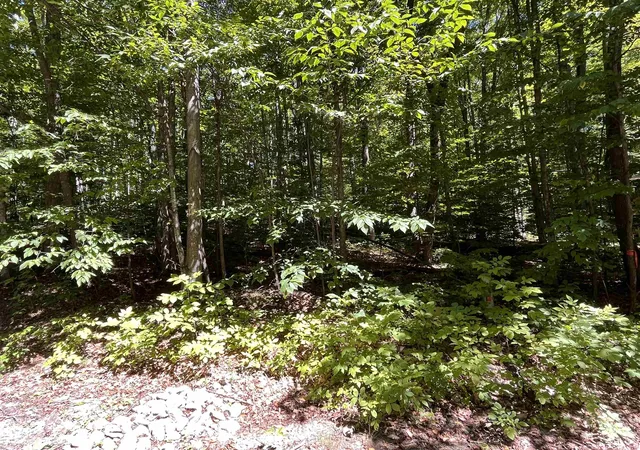 Photo 1 of Sale Pending at Lot 70 N Klaffen Strasse, Bellaire, MI 49615 | MLS# 78080062456 | Listing updated on 2026-07-09