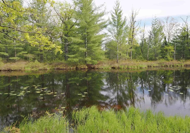 Photo 3 of Single family home for sale at 4011 Sandall Rd, Alpena, MI 49707 | MLS# 58050190460 | Listing updated on 2026-08-18