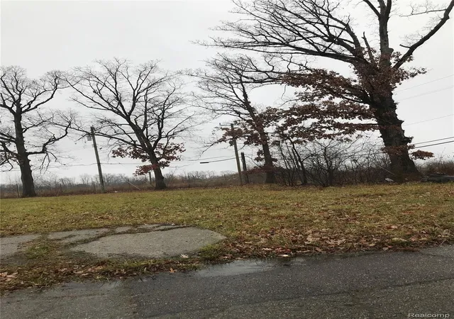 1st image of 19446 Troy Pl Pl, Highland Park, MI 48203 | MLS# 20251042735
