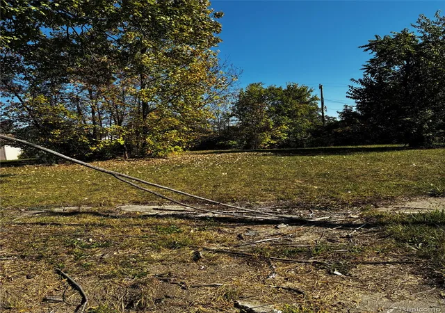 1st image of 19436 Troy Pl Pl, Highland Park, MI 48203 | MLS# 20251042743