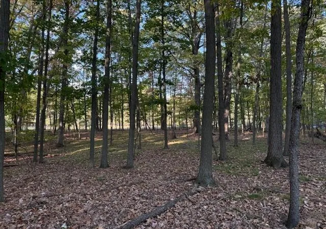 2nd image of Tbd Hiawatha Dr, Mount Pleasant, MI 48858 | MLS# 79080062608