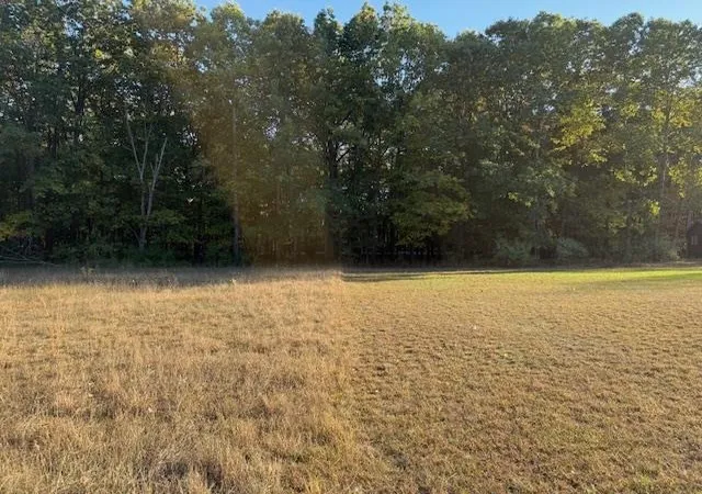 5th image of Tbd Hiawatha Dr, Mount Pleasant, MI 48858 | MLS# 79080062608
