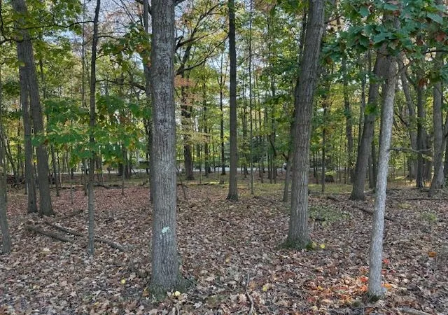6th image of Tbd Hiawatha Dr, Mount Pleasant, MI 48858 | MLS# 79080062608