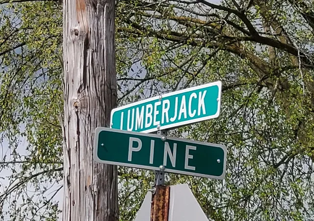 2nd image of Tbd N Lumberjack Rd, Riverdale, MI 48877 | MLS# 79080062649
