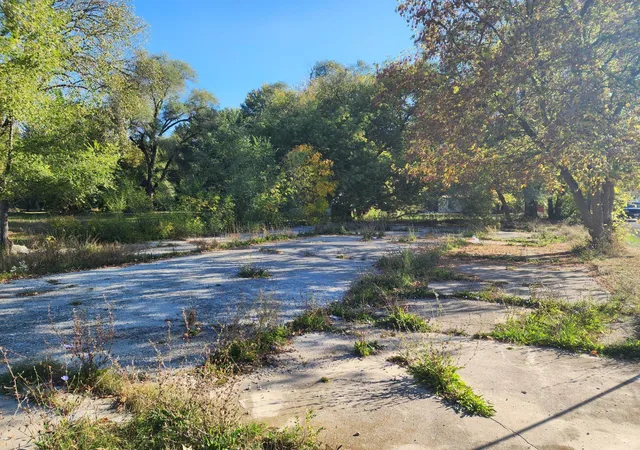 5th image of Tbd N Lumberjack Rd, Riverdale, MI 48877 | MLS# 79080062649