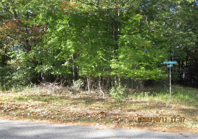 Land for sale at 00 E Franklin St, East Tawas, MI 48730 | MLS# 77080062764