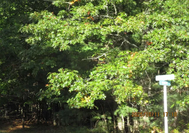 Photo 1 of Land for sale at 00 E Franklin St, East Tawas, MI 48730 | MLS# 77080062764 | Listing updated on 2026-07-06