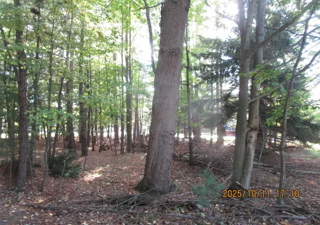 Photo 2 of Land for sale at 00 E Franklin St, East Tawas, MI 48730 | MLS# 77080062764 | Listing updated on 2026-07-06