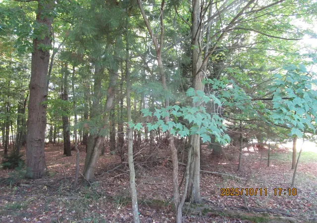 Photo 3 of Land for sale at 00 E Franklin St, East Tawas, MI 48730 | MLS# 77080062764 | Listing updated on 2026-07-06