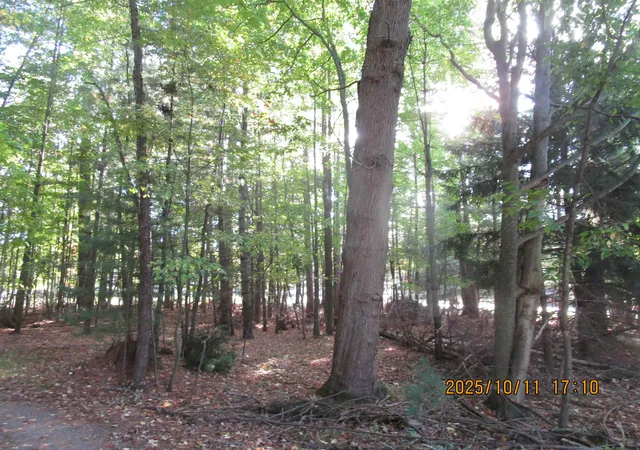 Photo 4 of Land for sale at 00 E Franklin St, East Tawas, MI 48730 | MLS# 77080062764 | Listing updated on 2026-07-06