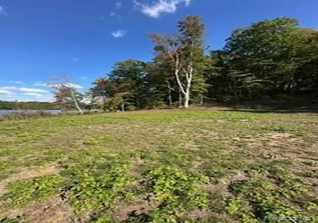 Photo 4 of Land for sale at 4720 Brunk Dr, Otter Lake, MI 48464 | MLS# 20251044899 | Listing updated on 2026-07-02