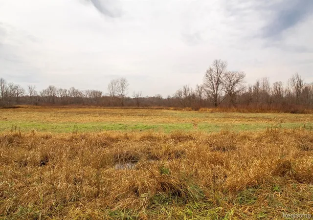 Photo 2 of Land for sale at Vl Roods Lake Rd, Mayfield Township Lapeer, MI 48446 | MLS# 20251045191 | Listing updated on 2026-07-06
