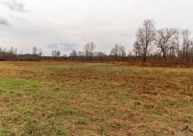 Photo 3 of Land for sale at Vl Roods Lake Rd, Mayfield Township Lapeer, MI 48446 | MLS# 20251045191 | Listing updated on 2026-07-06