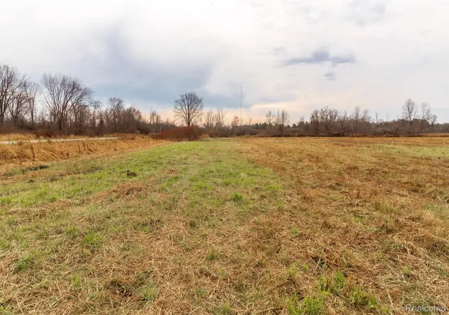 Photo 3 of Land for sale at Vl Roods Lake Rd, Mayfield Township Lapeer, MI 48446 | MLS# 20251045191 | Listing updated on 2026-07-06