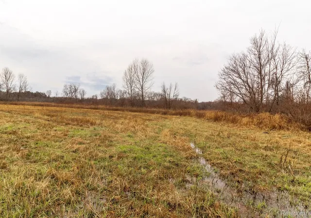 Photo 4 of Land for sale at Vl Roods Lake Rd, Mayfield Township Lapeer, MI 48446 | MLS# 20251045191 | Listing updated on 2026-07-06