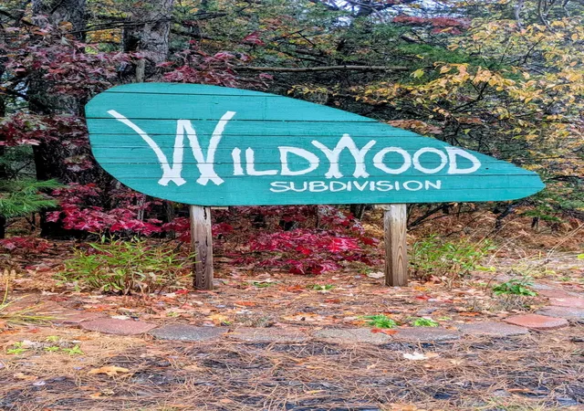 52nd image of 2256 Whitetail Dr, Cadillac, MI 49601 | MLS# 67025053189