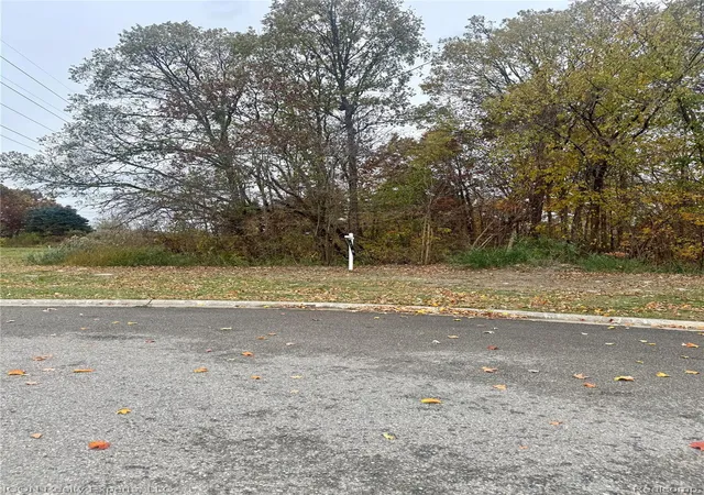 Photo 2 of Land for sale at 10380 Excalibur Dr, Shelby Township, MI 48315 | MLS# 20251046048 | Listing updated on 2026-08-24