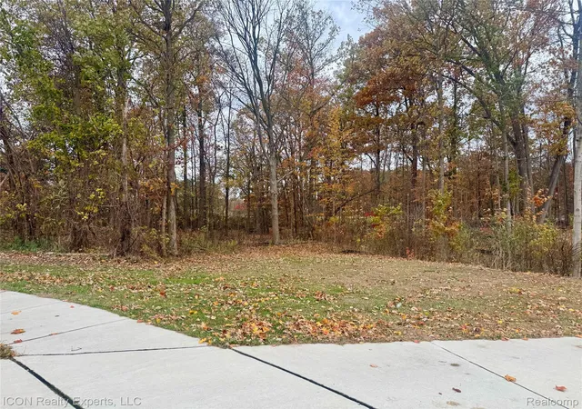 Photo 3 of Land for sale at 10380 Excalibur Dr, Shelby Township, MI 48315 | MLS# 20251046048 | Listing updated on 2026-08-24