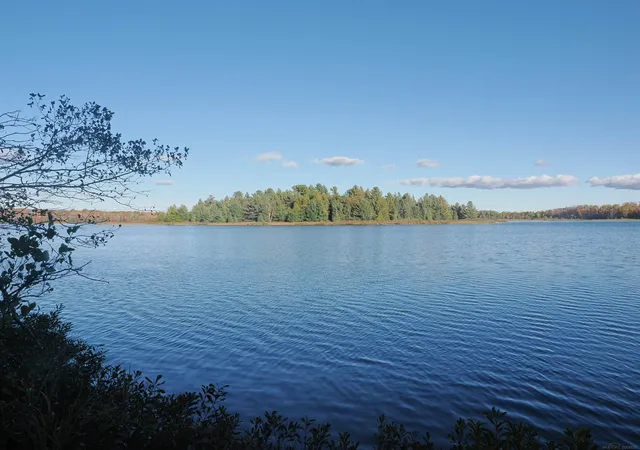1st image of Xxx W Birch Shores Dr, Trout Lake, MI 49793 | MLS# 58050191729