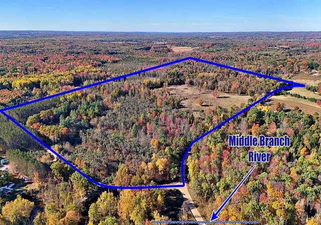 Photo 2 of Land for sale at 0 Twin Lake Rd, Marion, MI 49665 | MLS# 78080062932 | Listing updated on 2026-06-22